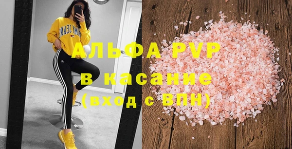 прущий лед Вяземский