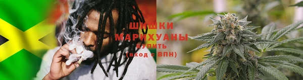 прущий лед Вяземский