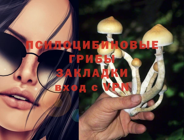 соль курить ск Вязьма