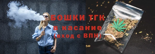прущий лед Вяземский