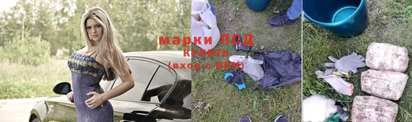 прущий лед Вяземский