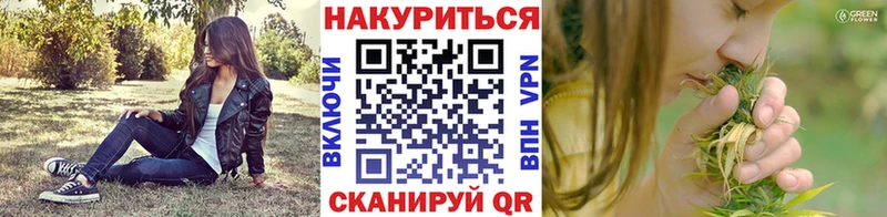 Конопля марихуана  Новосокольники 